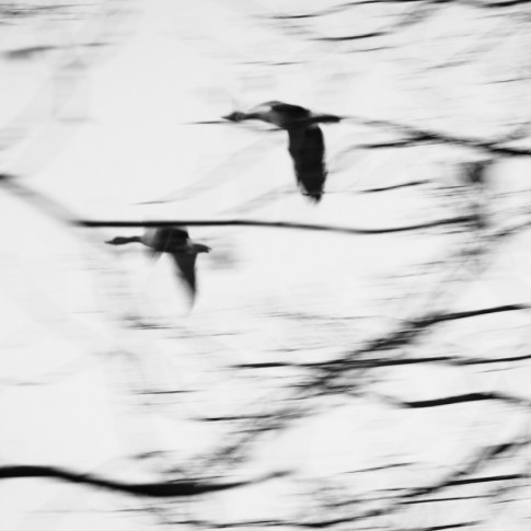 3Zig Markus Natur  4 